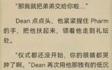 【待到重逢时】小说 4048全文完 Dean和Pharm婚后生活日常……哔哩哔哩bilibili