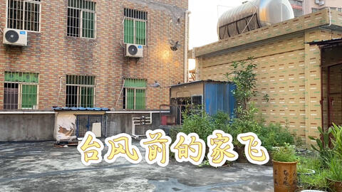 台风前的鸽子家飞 放了鸽子也顺便清理了鸽粪 哔哩哔哩