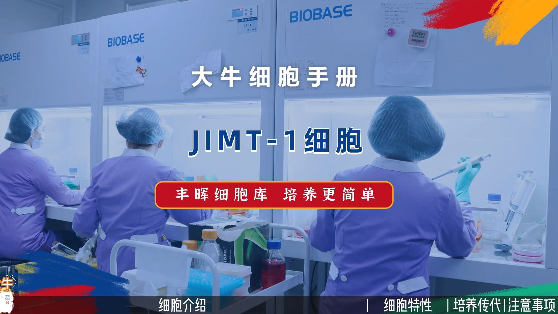 丰晖生物细胞库培养手册:JIMT1细胞培养,人乳腺癌细胞培养攻略.哔哩哔哩bilibili