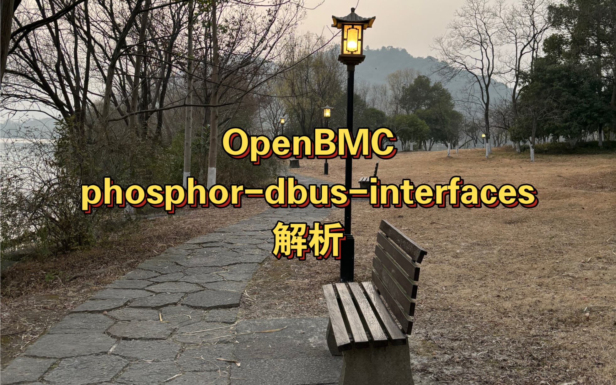 【BMC】phosphordbusinterfaces解析哔哩哔哩bilibili