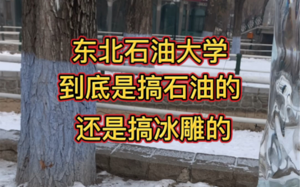 [图]东北石油大学的学生请老实交代一下你们到底是干什么的？