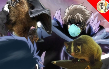 白勺啊达的个人空间 哔哩哔哩 Bilibili