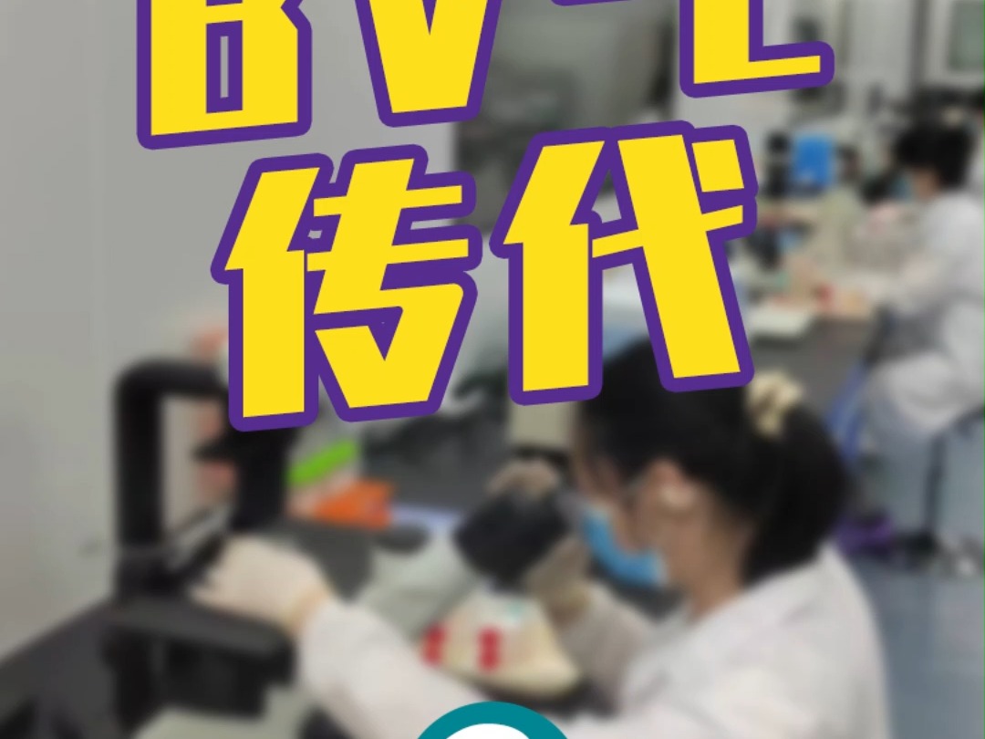 上海富衡 | bv2传代33 实验操作及注意事项哔哩哔哩bilibili