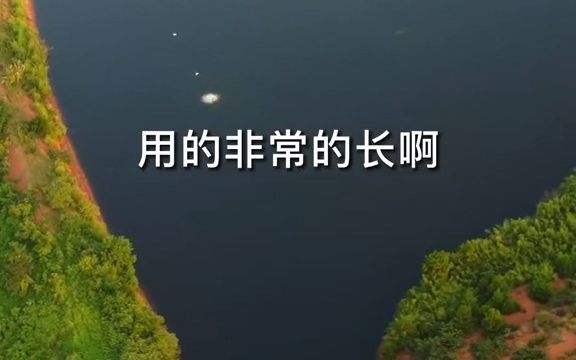 衡南水塘大又深,没想到一招失误就...哔哩哔哩bilibili