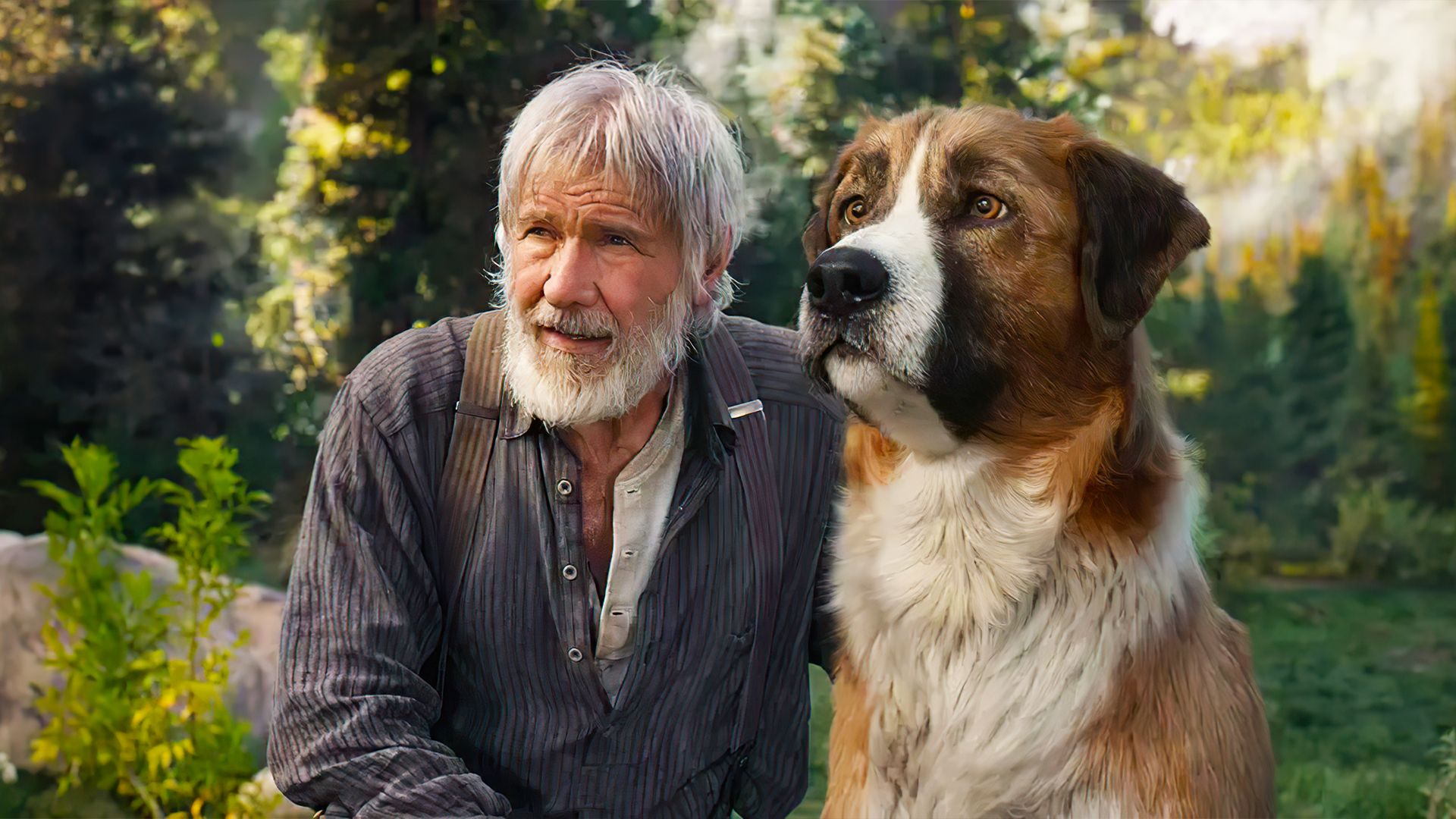 《野性的呼唤》原来狗也可以这么帅