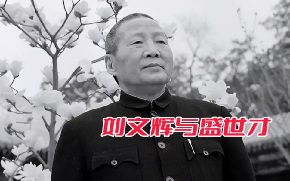 抗战时,这两位大军阀不曾出兵打鬼子:为何建国后评价却不同?哔哩哔哩bilibili