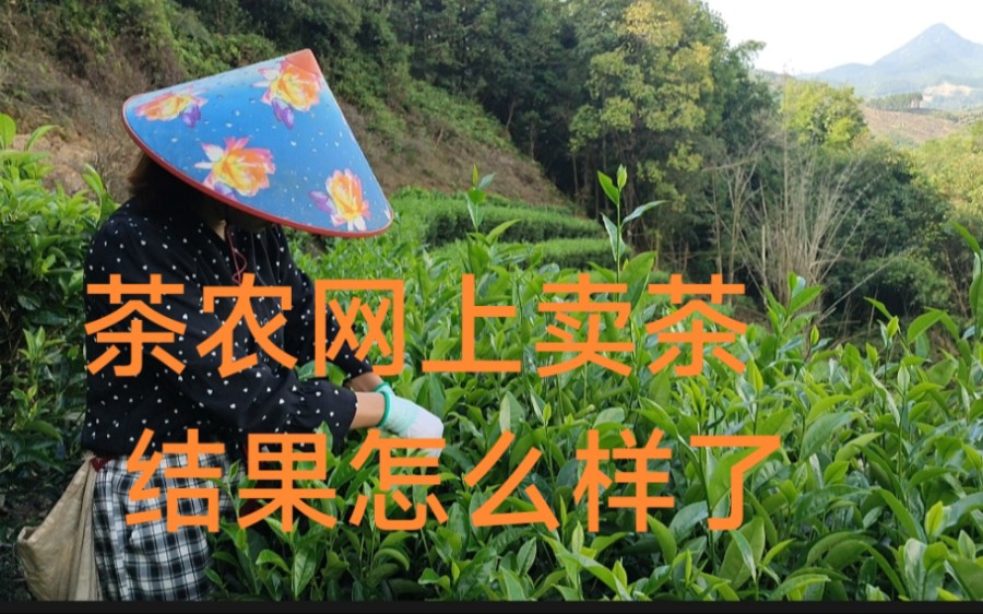 茶农尝试网上卖茶,结果怎么样?茶农能把卖出去吗?哔哩哔哩bilibili