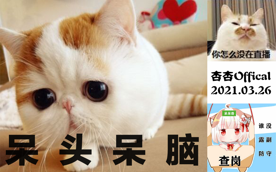 【呆头呆脑】第291期 永无止境的特上轮回 呆骗篇#4 瞪太(2021.03.26)