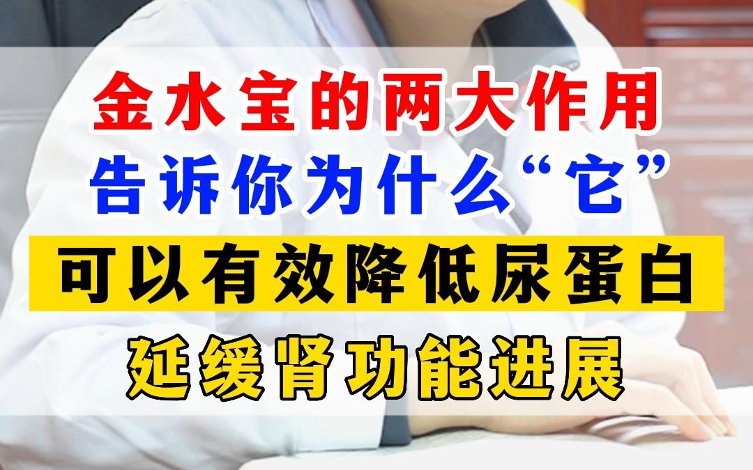 金水宝的两大作用,告诉你为什么“它”可以有效降低尿蛋白,延缓肾功能进展哔哩哔哩bilibili