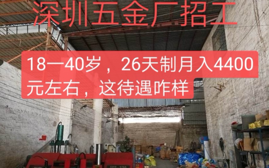 实拍浩荣深圳沙井五金厂面试,2600元/月底薪26天制,这待遇福利咋样?哔哩哔哩bilibili