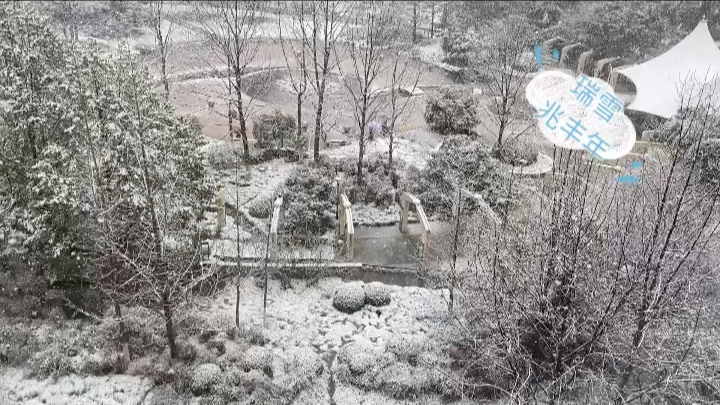 [图]杭州新年第一场大雪-瑞雪送春福