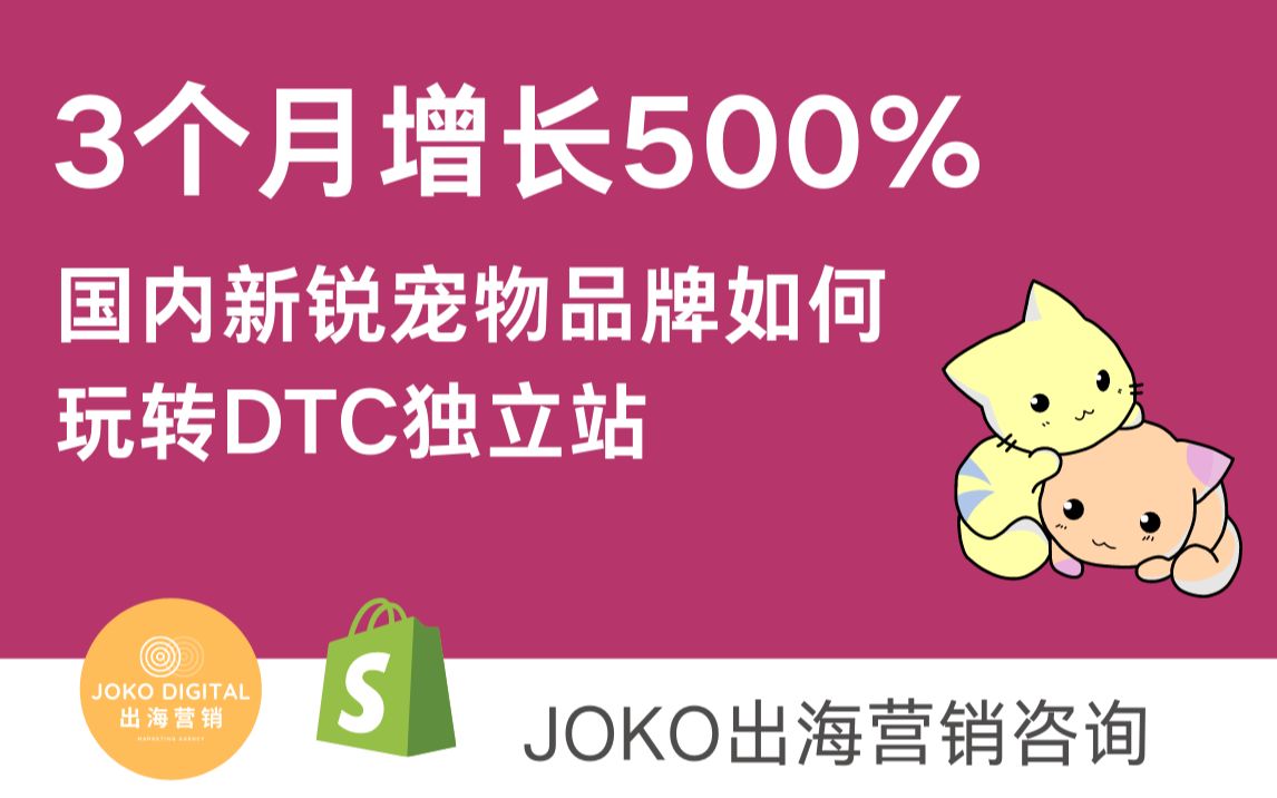 3个月增长500%!国内新锐宠物品牌如何玩转DTC独立站哔哩哔哩bilibili