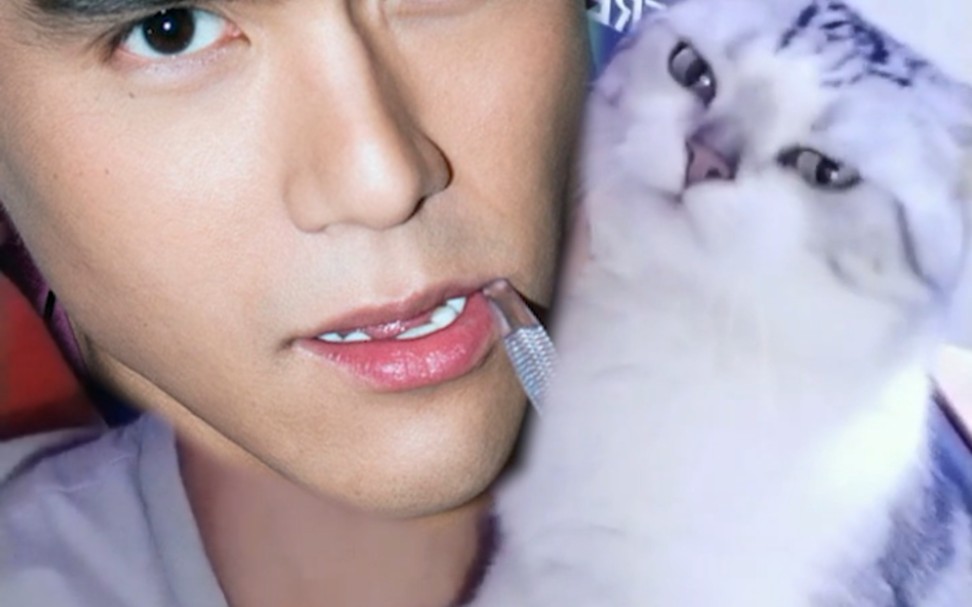 z j!一只猫为了一支冰棍对"彭于晏"大打出手,并吃完就跑.