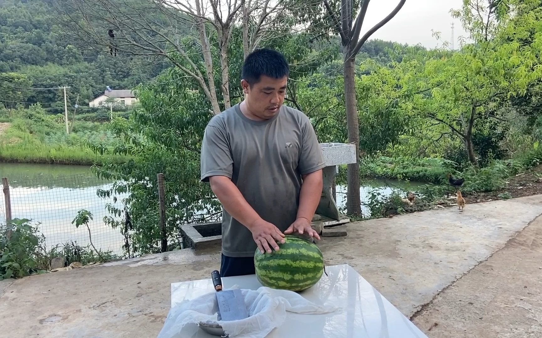 胖哥用一个大西瓜熬糖,出糖后有点吓人,以后再也不敢多吃西瓜了