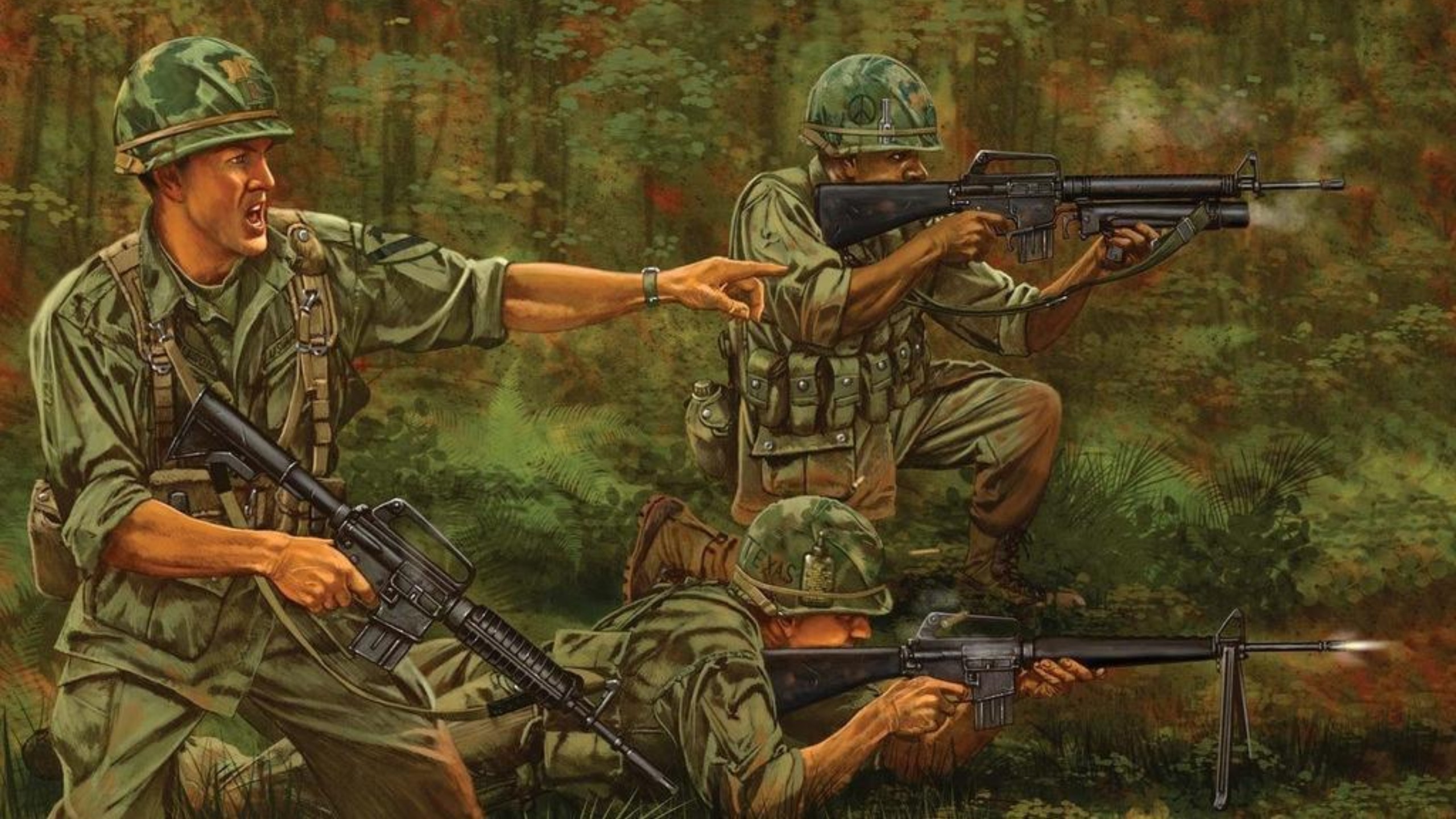 越南战争 清理村庄