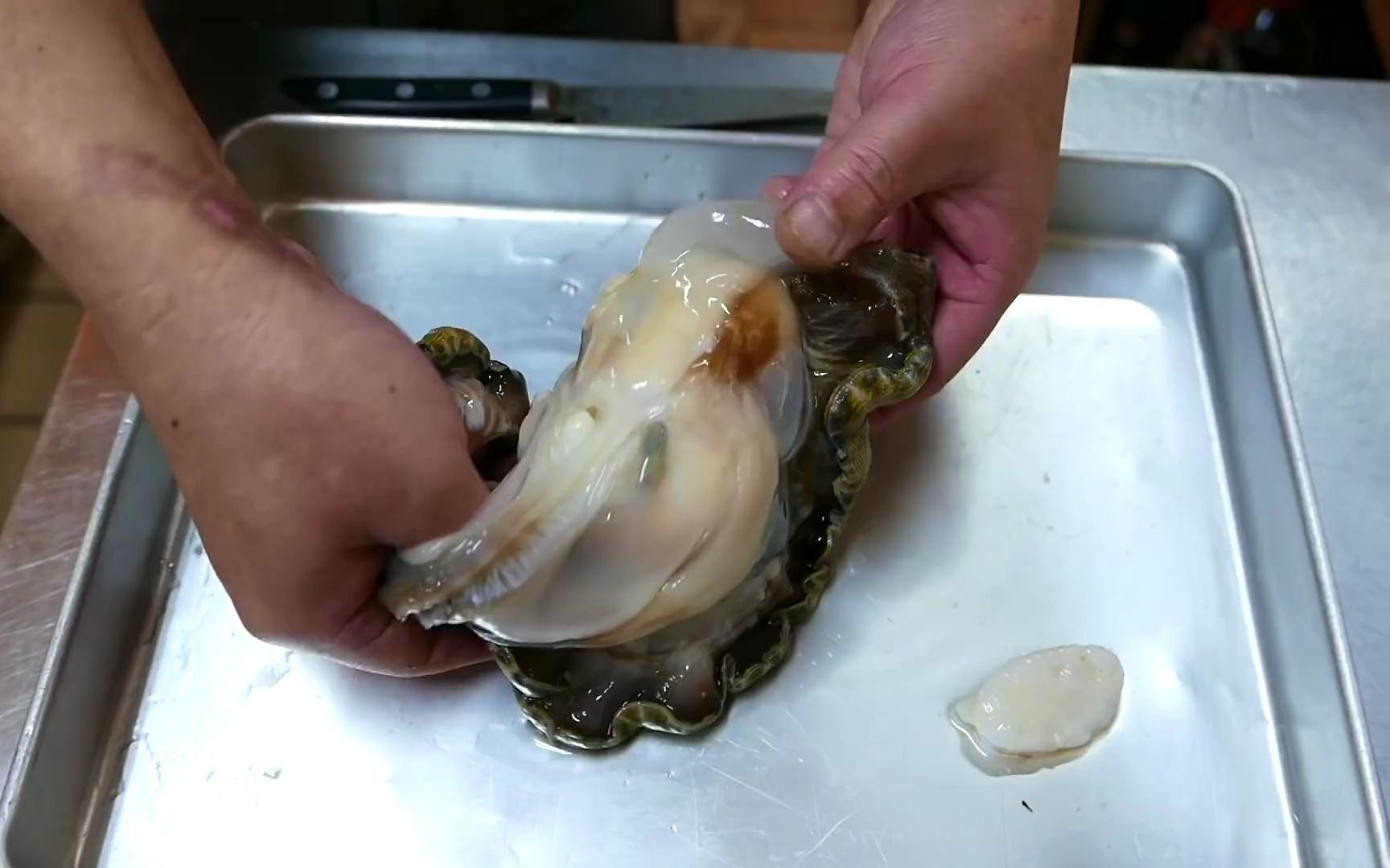 日本海鲜-巨大奇怪的蛤蜊-日本街头食品