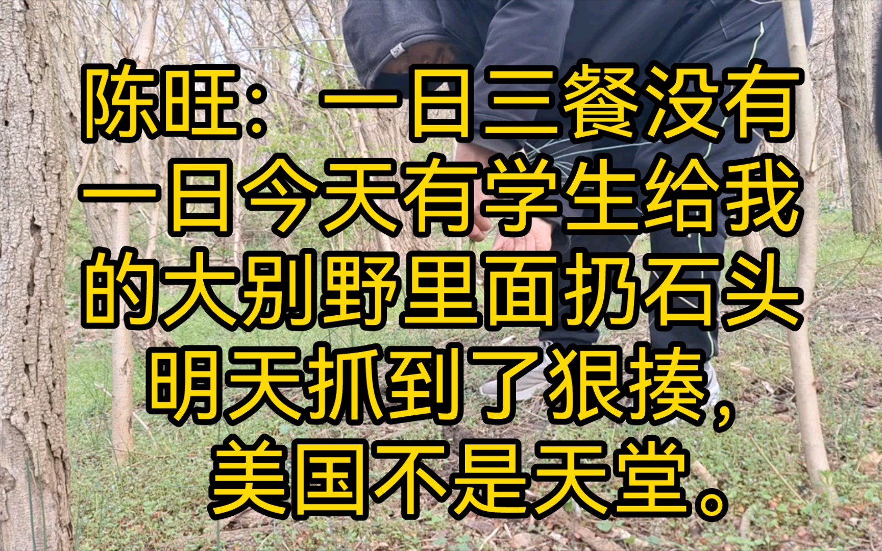 陈旺37陈旺:一日三餐没有一日,今天有学生给我的大别野里面扔石头,明天抓到了狠揍,美国不是天堂.哔哩哔哩bilibili