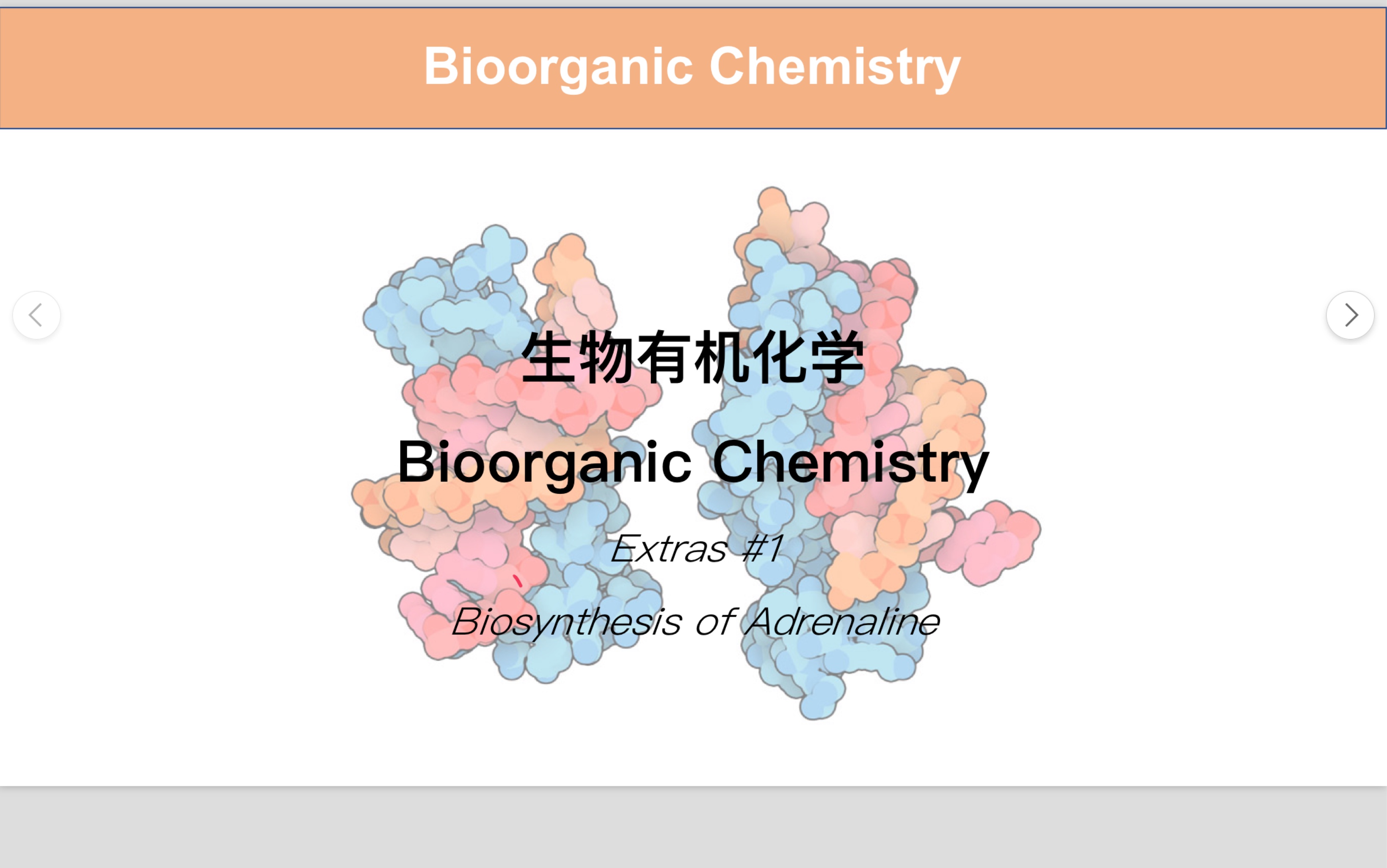 [图]肾上腺素是如何在体内被合成出来的？｜生物有机化学番外篇 #1