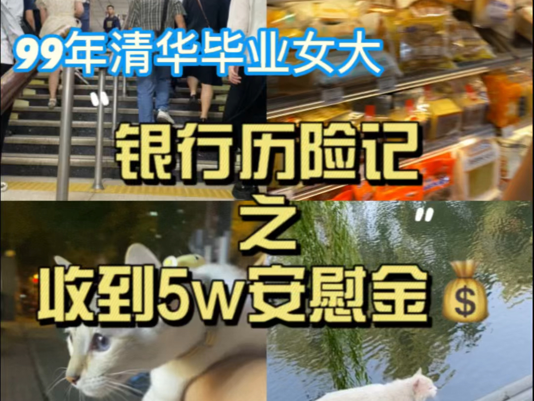 清华毕业当柜员 收到5w安慰金的一天哔哩哔哩bilibili