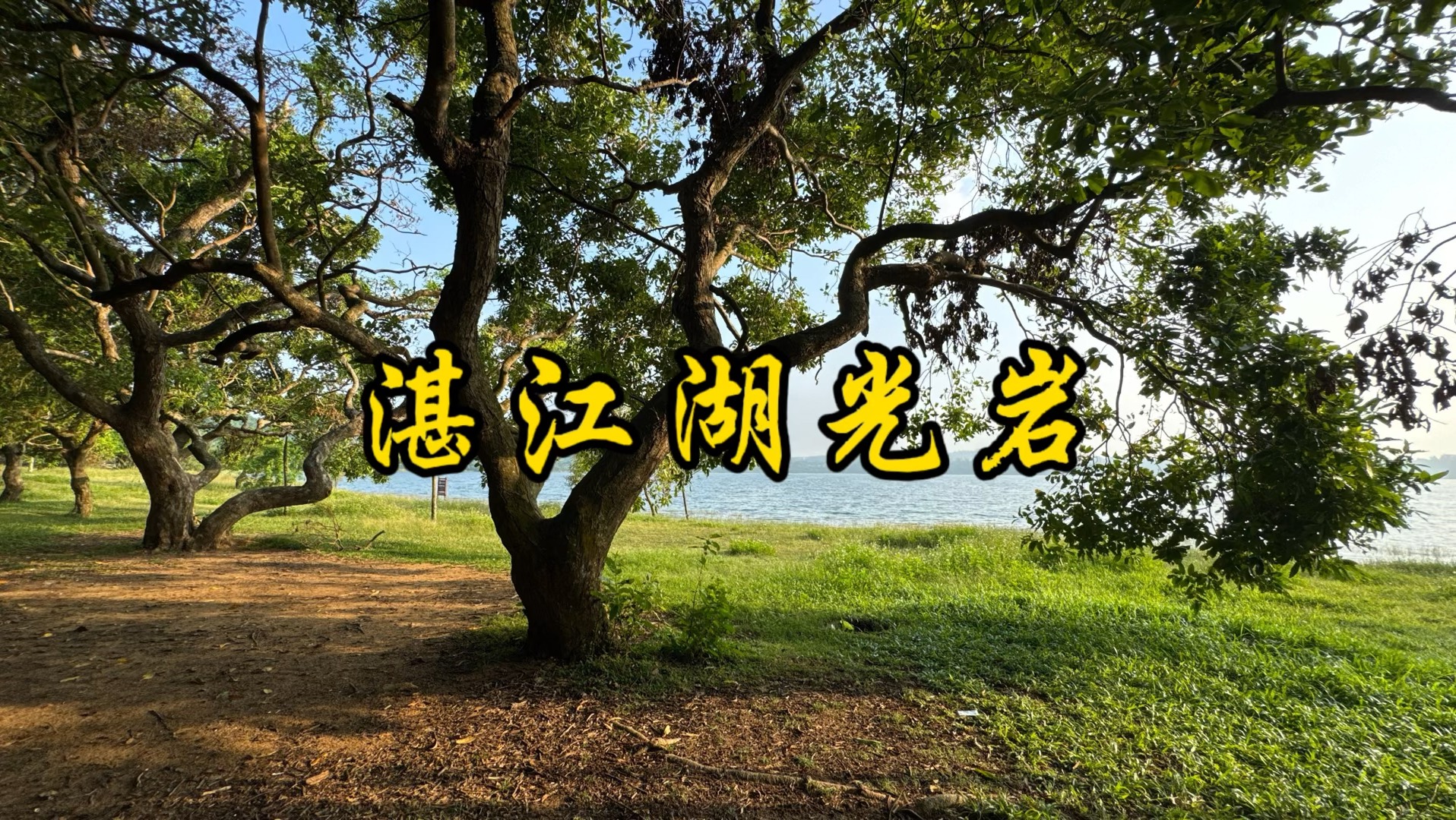 来湛江游湖光岩哔哩哔哩bilibili