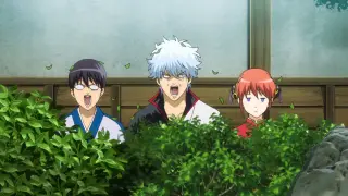 银魂 番剧 Bilibili 哔哩哔哩弹幕视频网