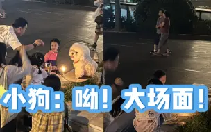 Скачать видео: 下班遇到心软的神！一群人在广场上给小狗过生日，网友：看得我班味消失了，来源#小羊拍客