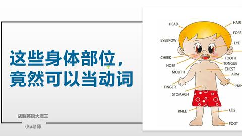 几分钟英语冷知识 这些身体部位 竟然可以当动词 哔哩哔哩