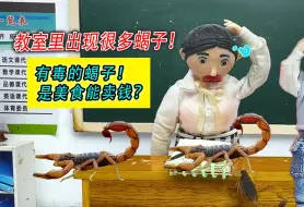 Download Video: 教室里出现很多土蝎子！能吃能卖钱，谁抓的？