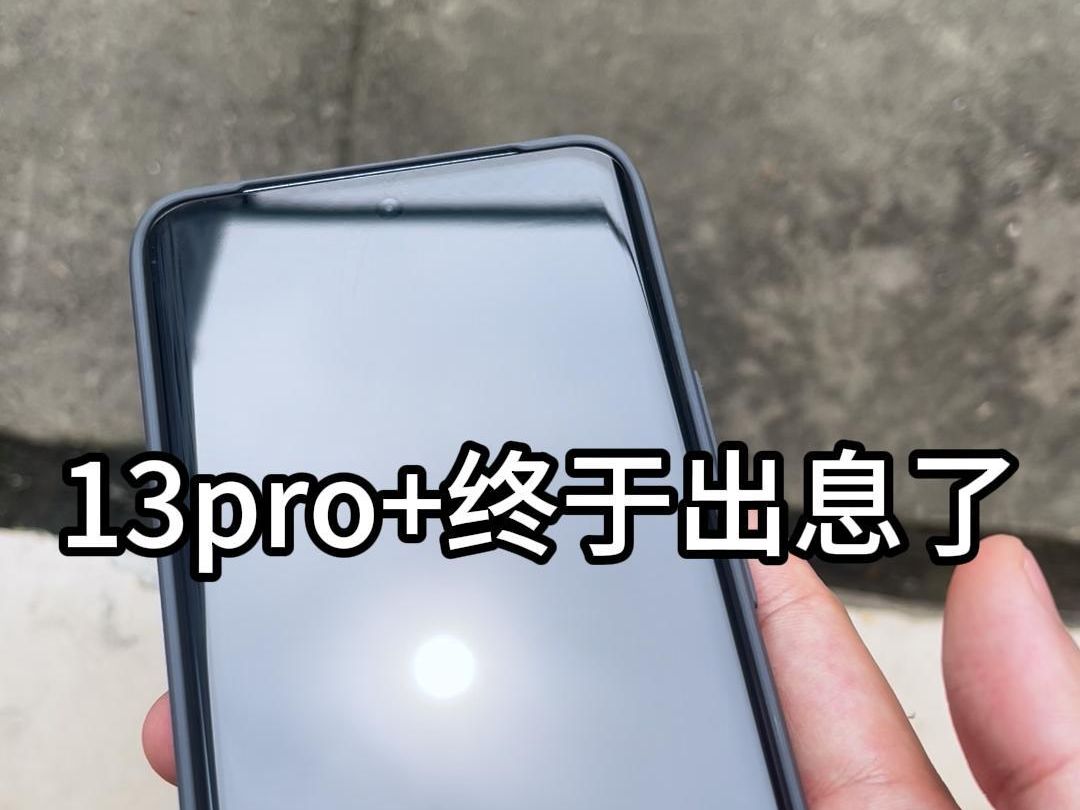 真我13pro+已老实!如果是喜欢给手机买那些配件的,真的还是不要选他了,太冷门了,已老实!最后只能在实体店买哔哩哔哩bilibili