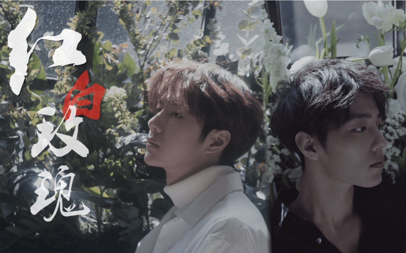 【战山为王】双a混剪|红玫瑰白玫瑰|双声道_哔哩哔哩 (゜-゜)つロ