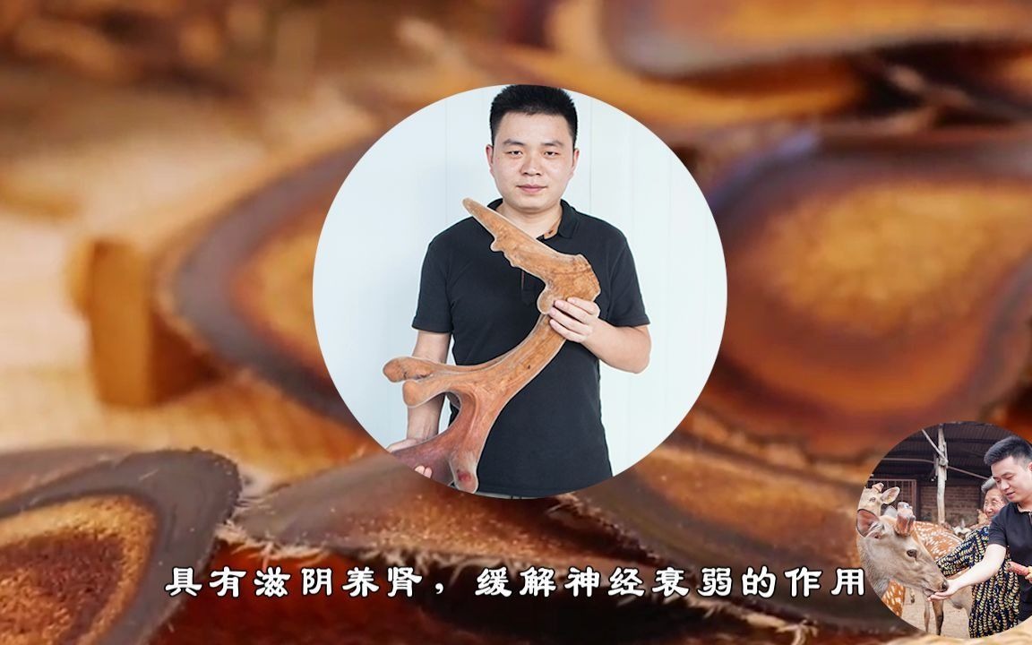 鹿茸有什么禁忌?哔哩哔哩bilibili