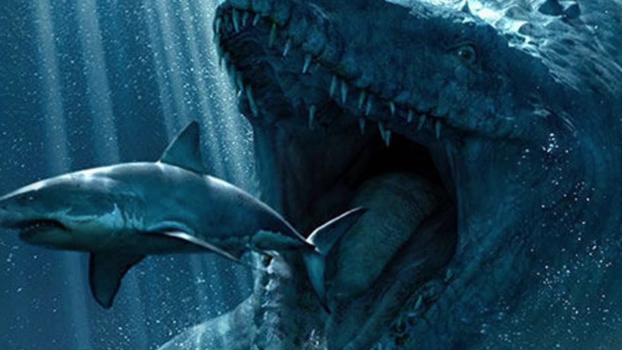 沧龙大战巨齿鲨图片