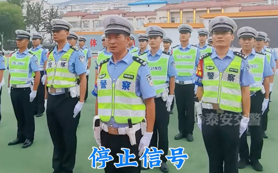 看看交警指挥手势你都看懂了吗哔哩哔哩bilibili