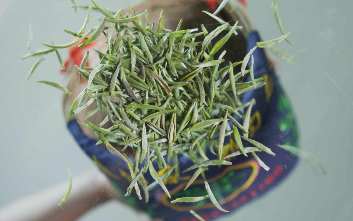 [图]《茶香山河》——都匀毛尖茶