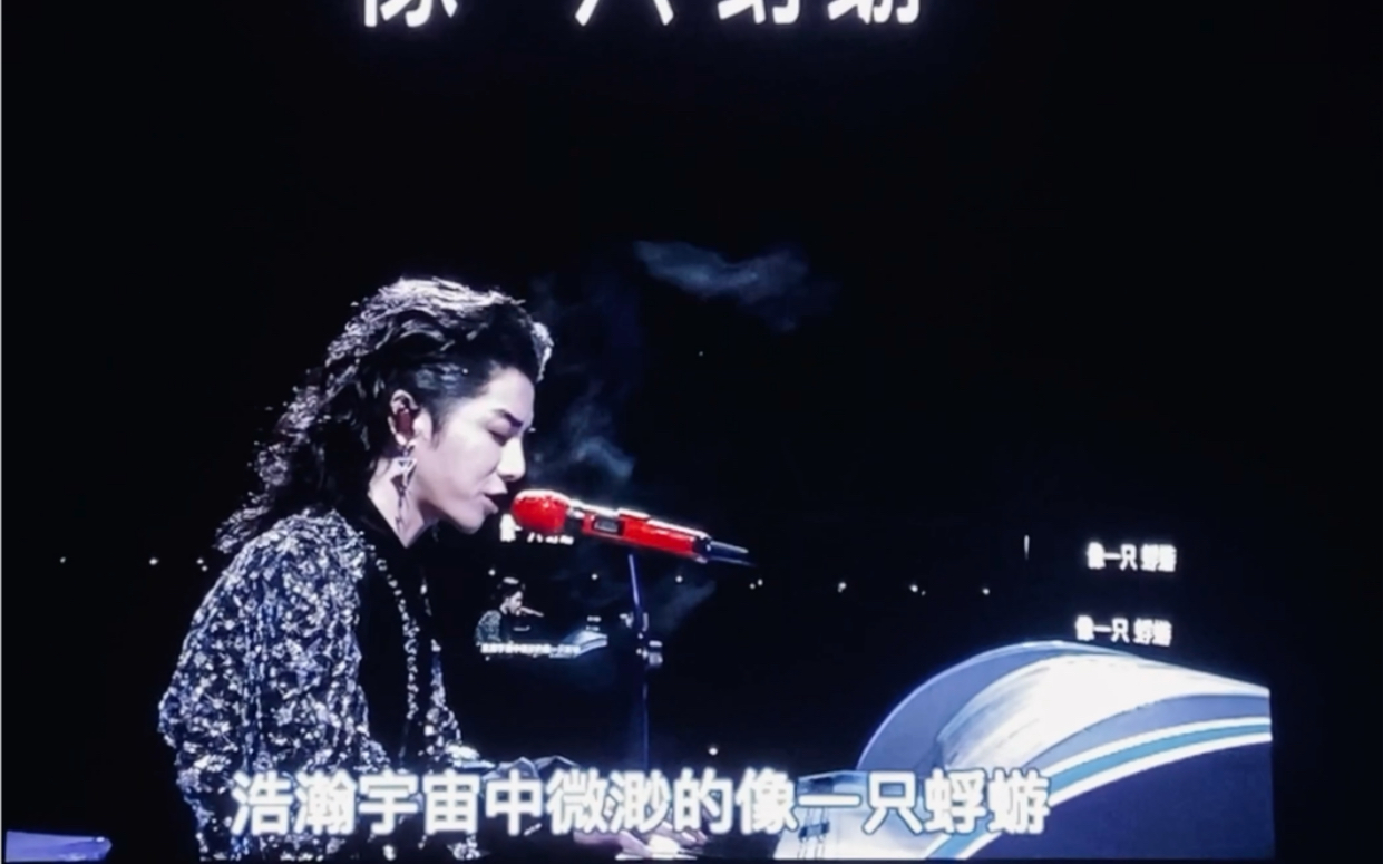 【华晨宇】《蜉蝣》完整版 12.03 第四场 海鸥的蜉蝣 依旧绝美哔哩哔哩bilibili