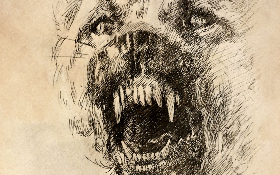 【钢笔画】 猎 (16倍速)