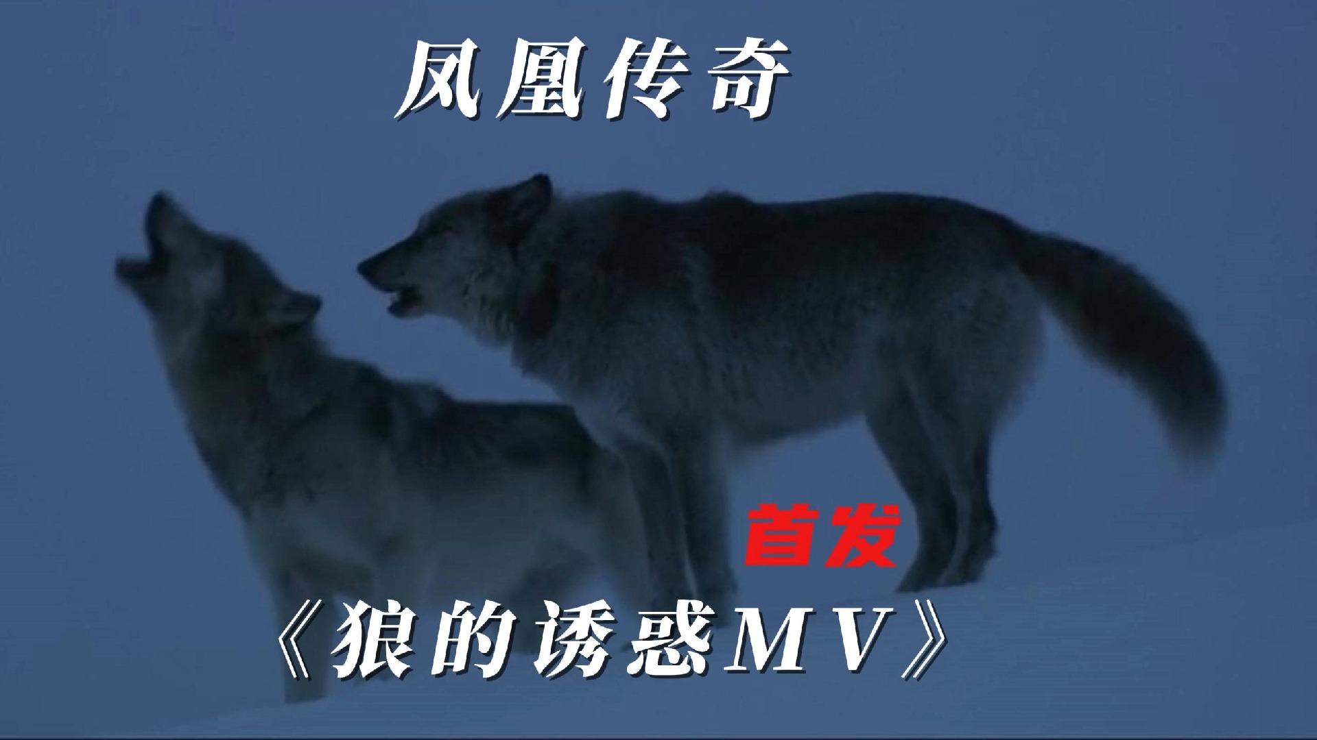 《 狼 的 诱 惑 M V 》首发哔哩哔哩bilibili