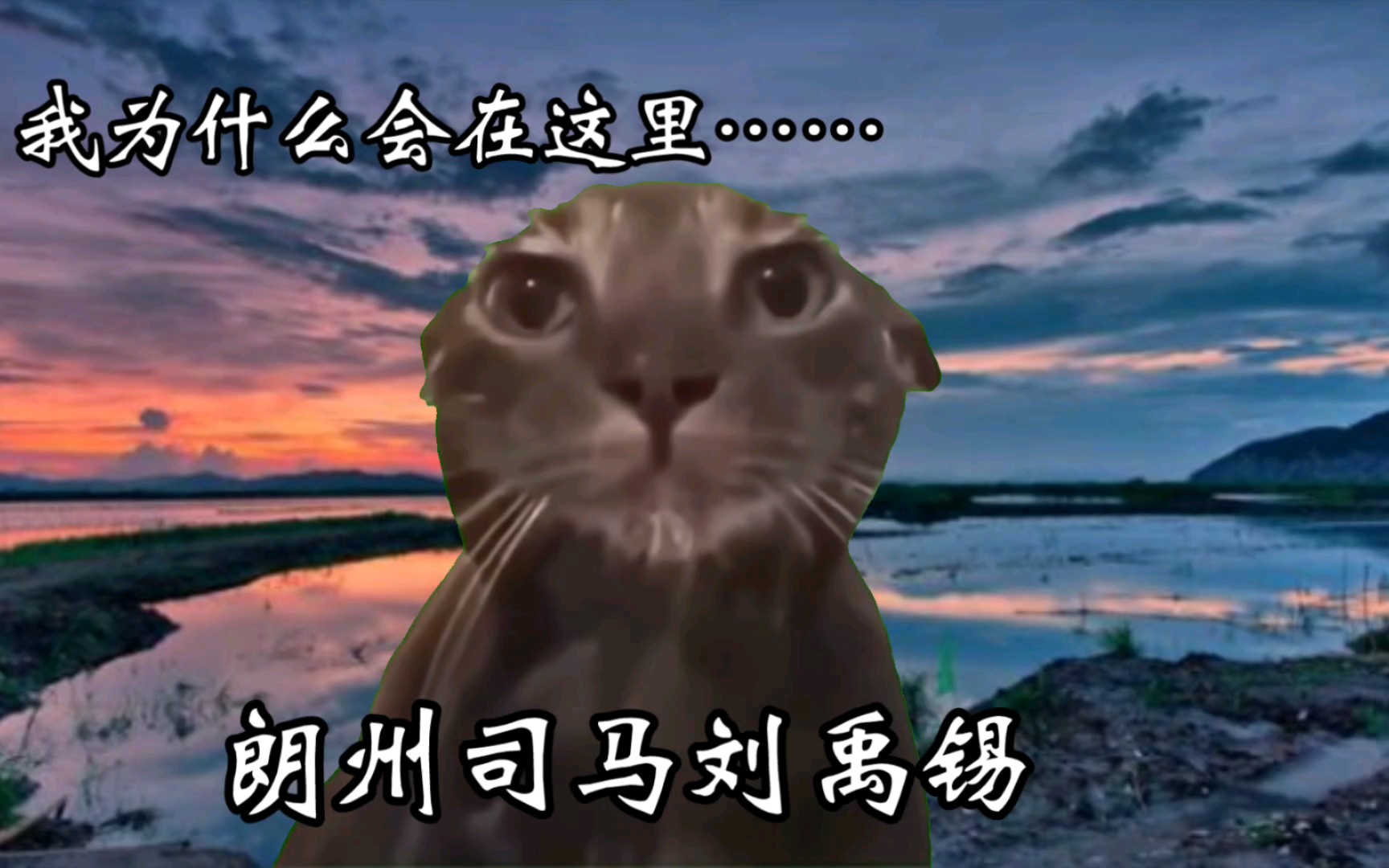 用猫meme表达刘禹锡的一生(上)哔哩哔哩bilibili