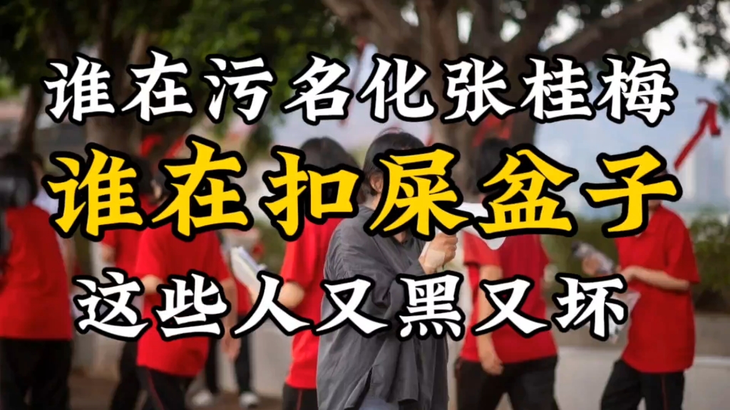 我本是高山:谁在污名化张桂梅,谁在扣屎盆子