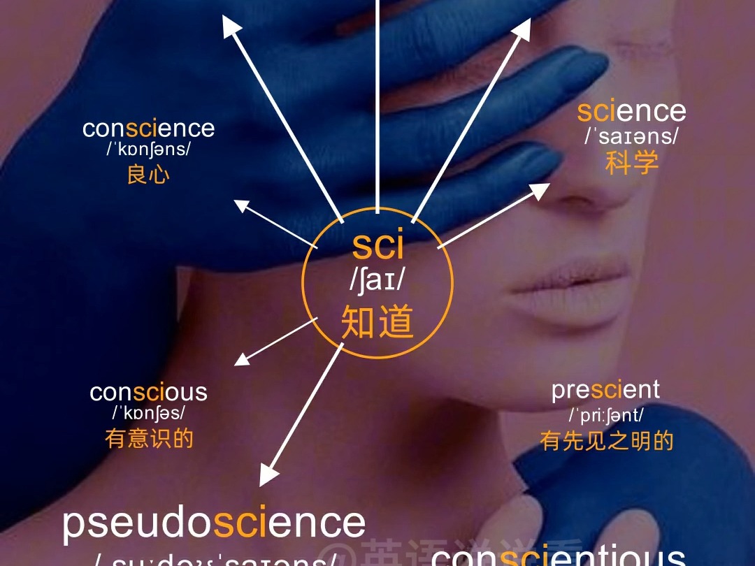 思维导图 分类记单词 词根sci哔哩哔哩bilibili