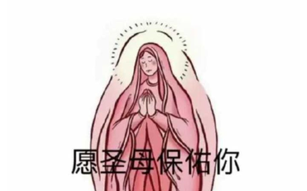 【新人up主激活计划】日常互赞