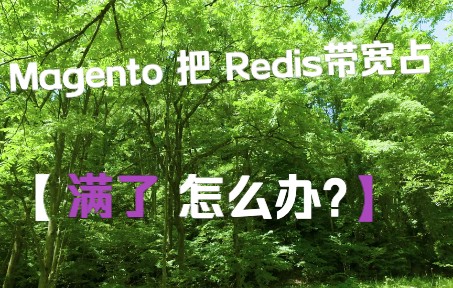 Magento 2 中 Redis 带宽监控工具哔哩哔哩bilibili