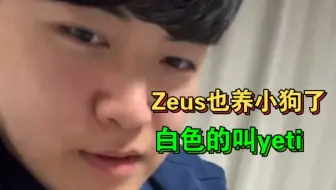 Gumayusi:Zeus养了白色的马尔济斯犬