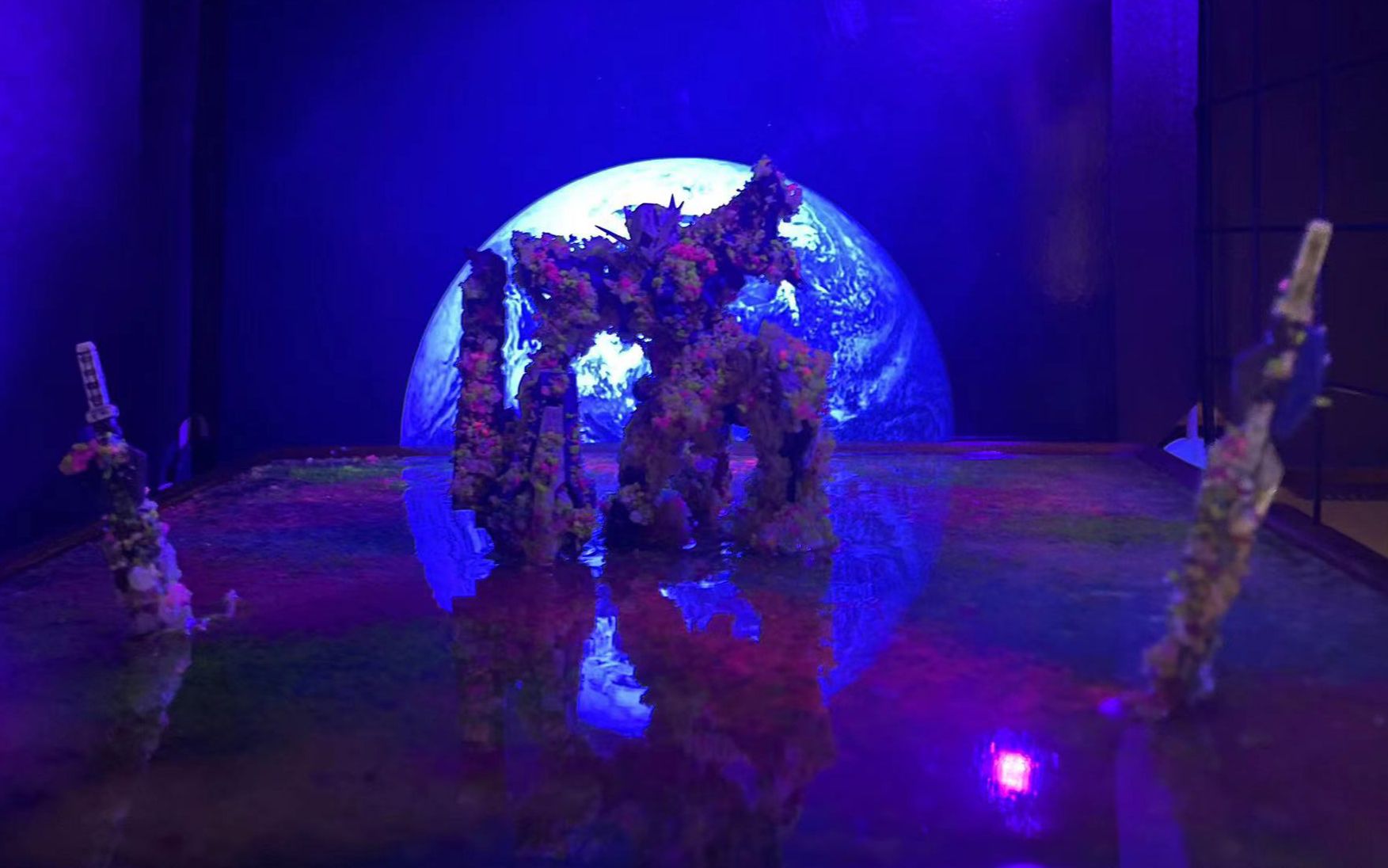 1/144能天使花海 高达00