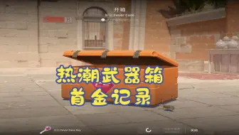 热潮武器箱新箱子出金望周知