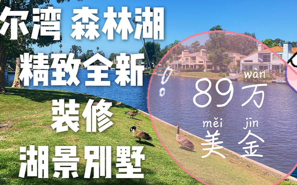 【美国房产】尔湾卫星城 森林湖 湖景别墅 只要89万 【尔湾买房】【尔湾房价】美国生活 美国房产 尔湾学区房 海景房 美国投资 尔湾买房 洛杉矶买房哔哩哔...