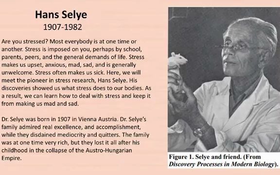 科学家汉斯ⷮŠ塞利(Hans Selye)的压力理论哔哩哔哩bilibili