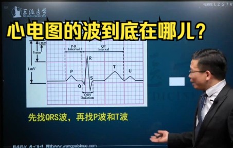 心电图入门基础:先要学会找到心电图的波哔哩哔哩bilibili