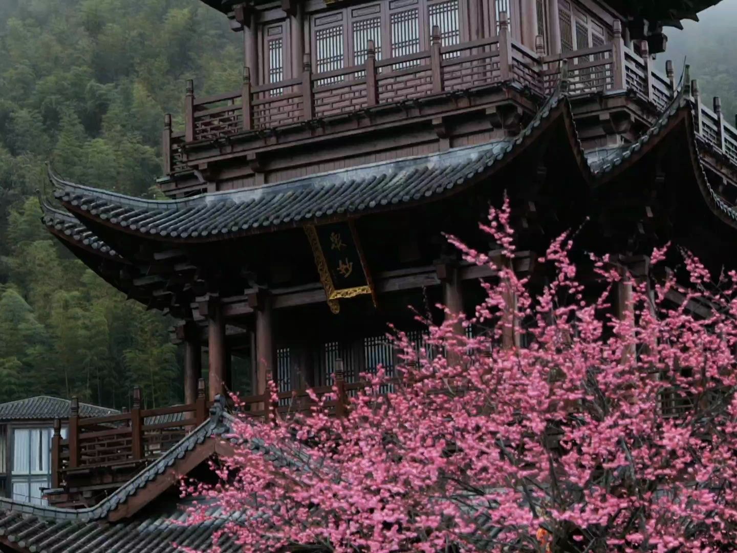 [图]正是江南好风景，落花时节又逢君～