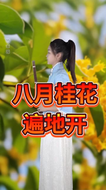 金秋八月,桂花飘香~哔哩哔哩bilibili